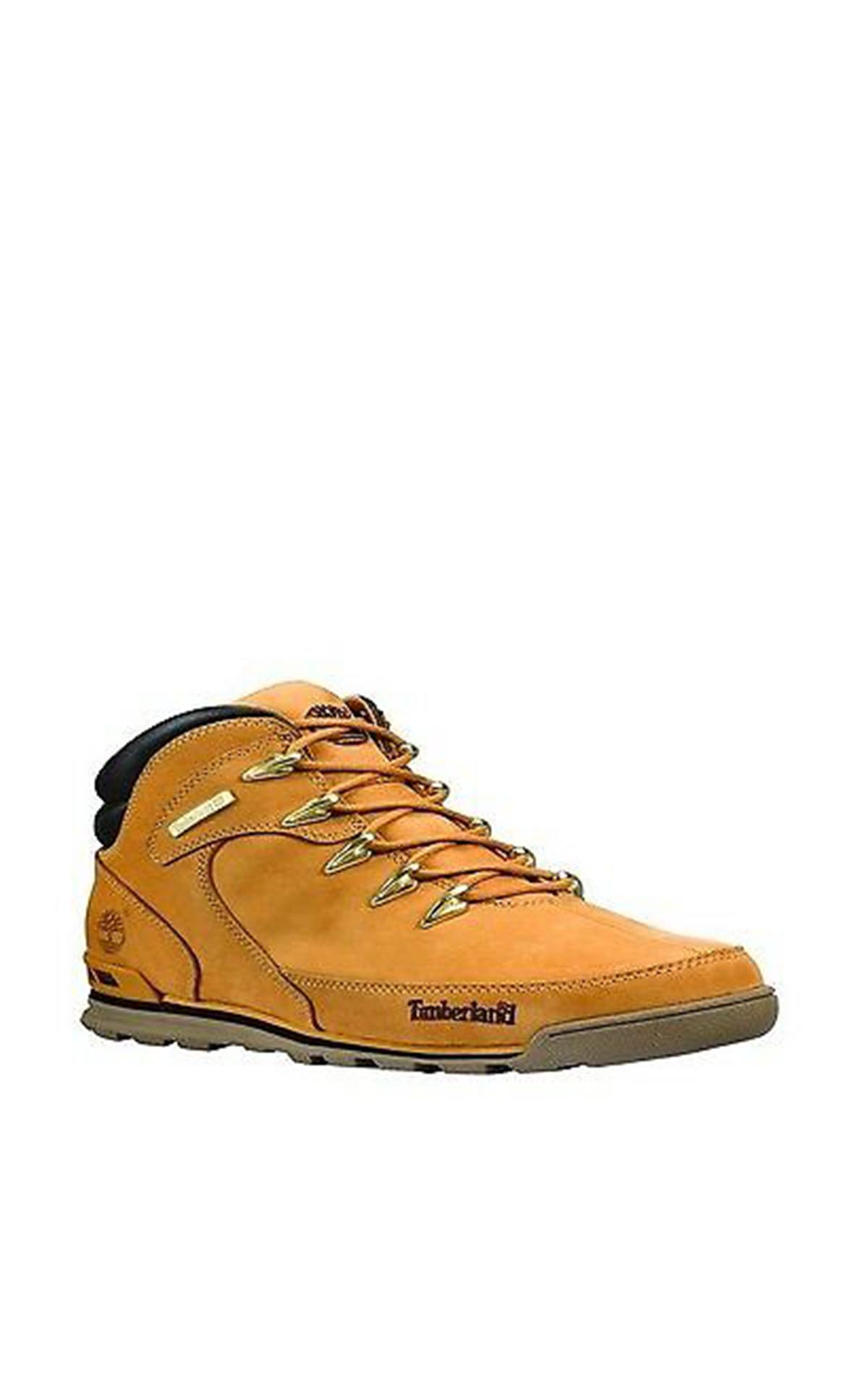 Premium sportswear for men 
