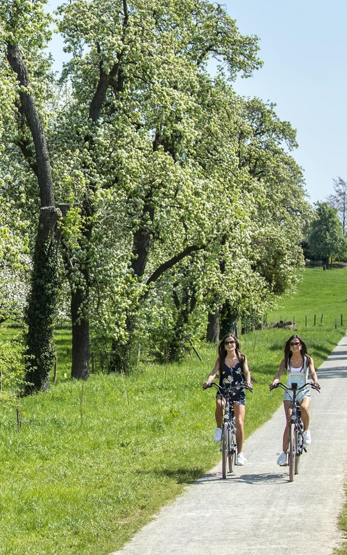 Cycling through the blossoms, cycling in Limburg, Haspengouw, Visit Limburg, in the neighbourhood of Maasmechelen Village