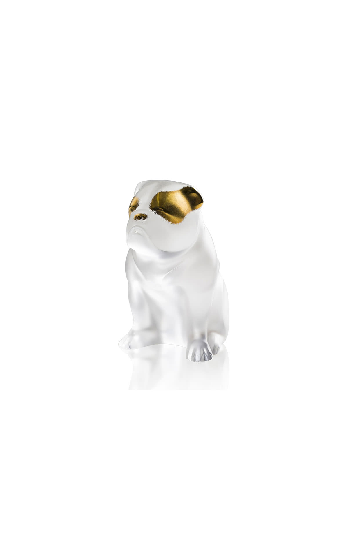 Lalique Gold plated bulldog from Bicester Village