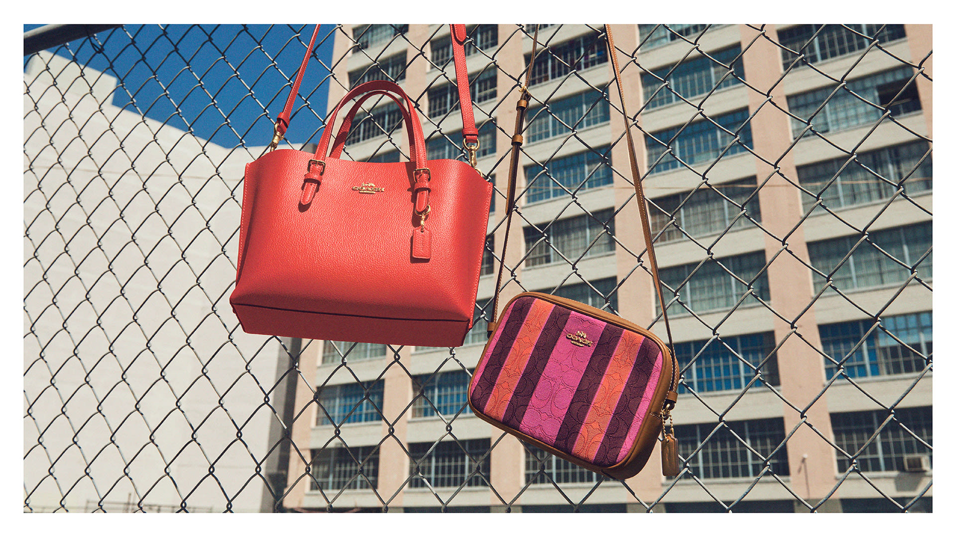 Coach Handbag