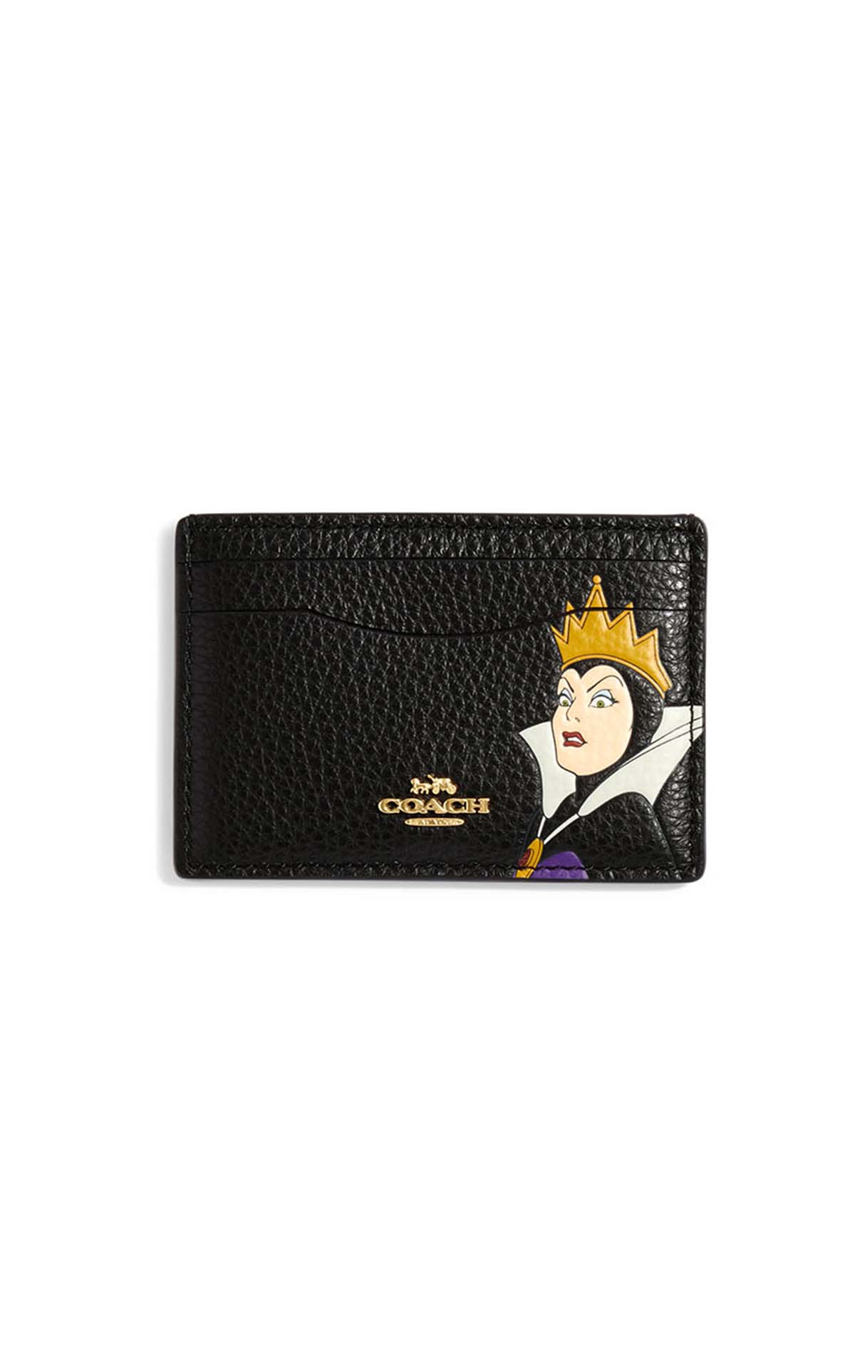 the-disney-x-coach-collection-tap-into-your-dark-side-with-these