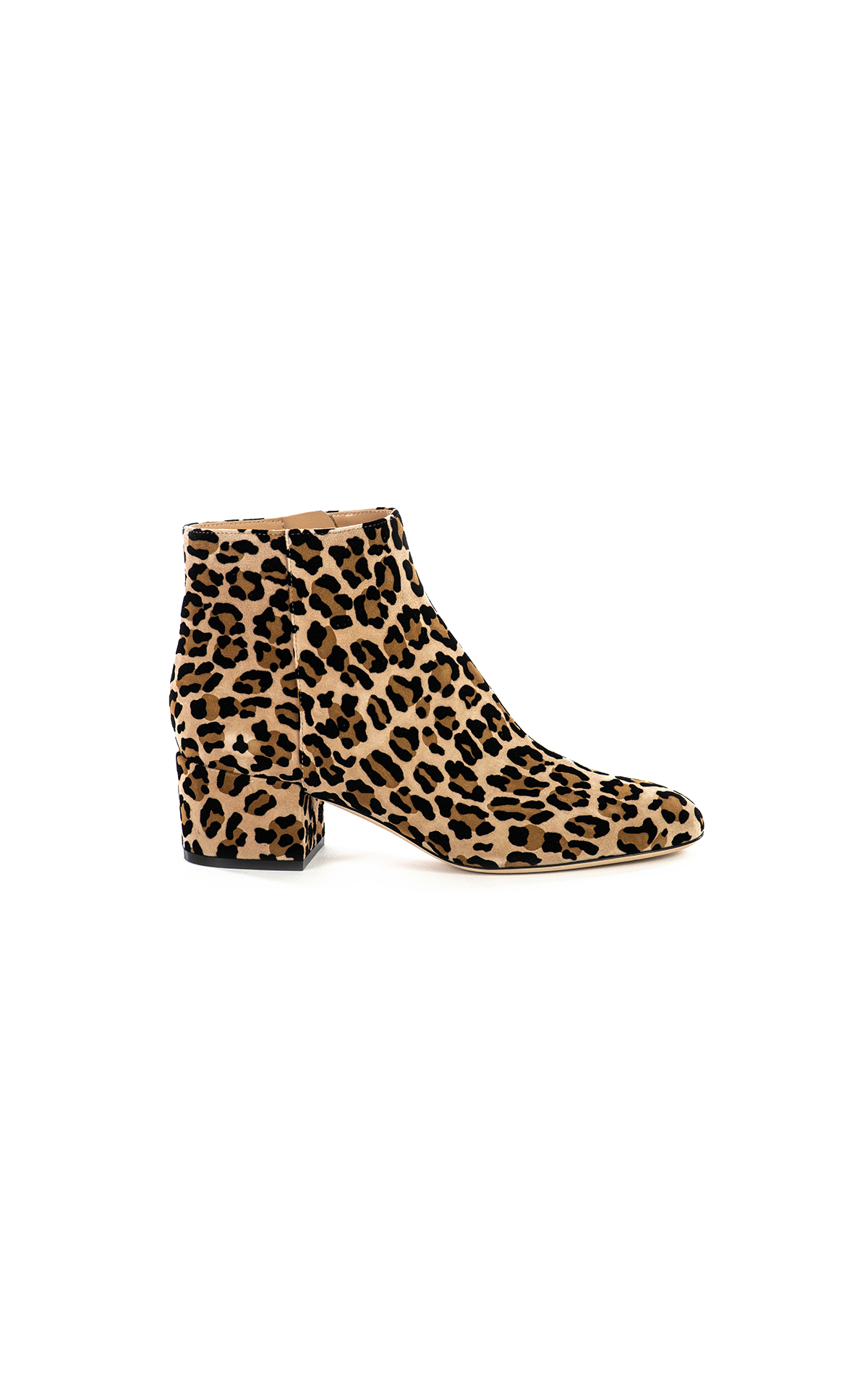  Sergio Rossi Leopard print ankle boots