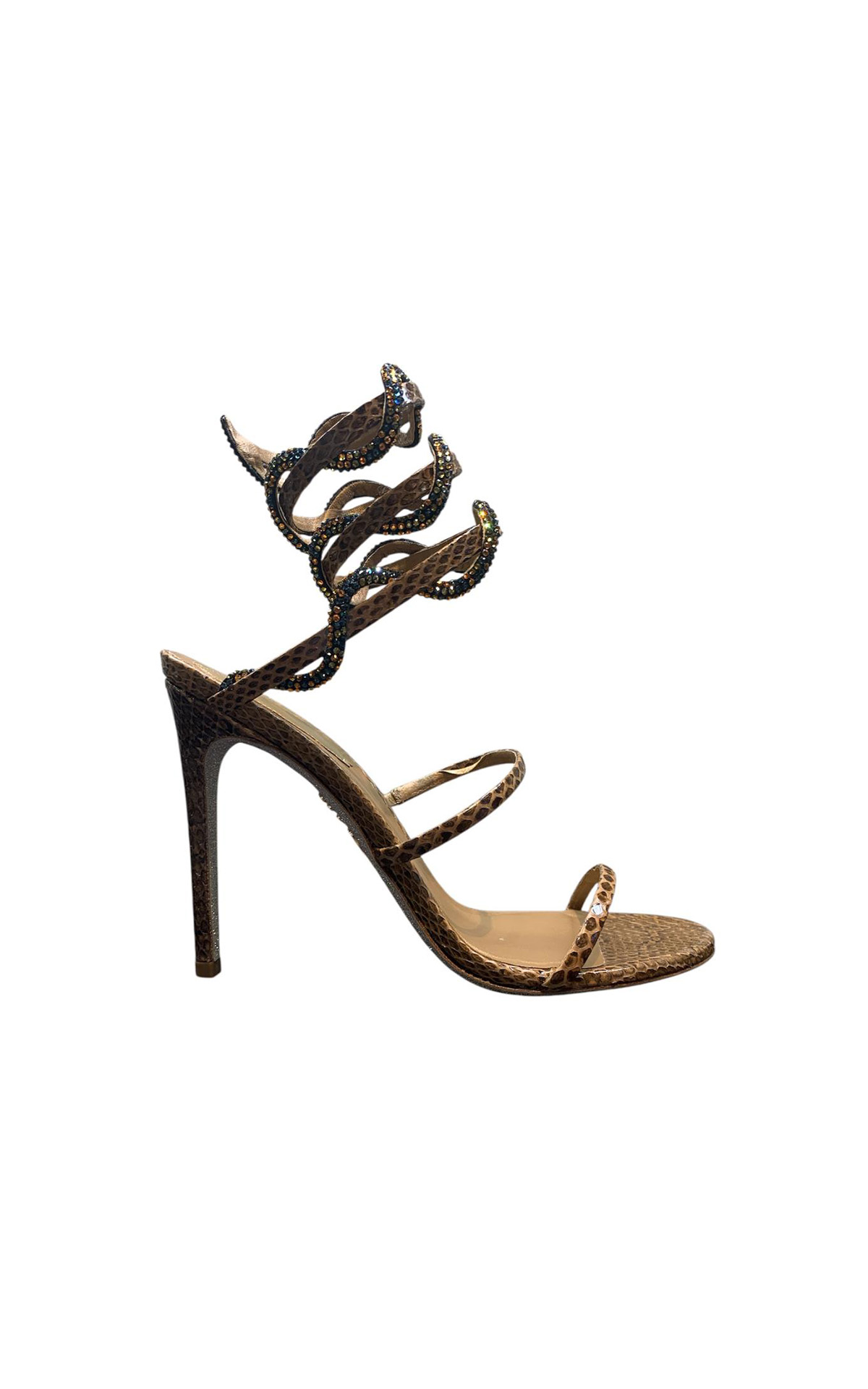Rene Caovilla Botticelli brown sandals
