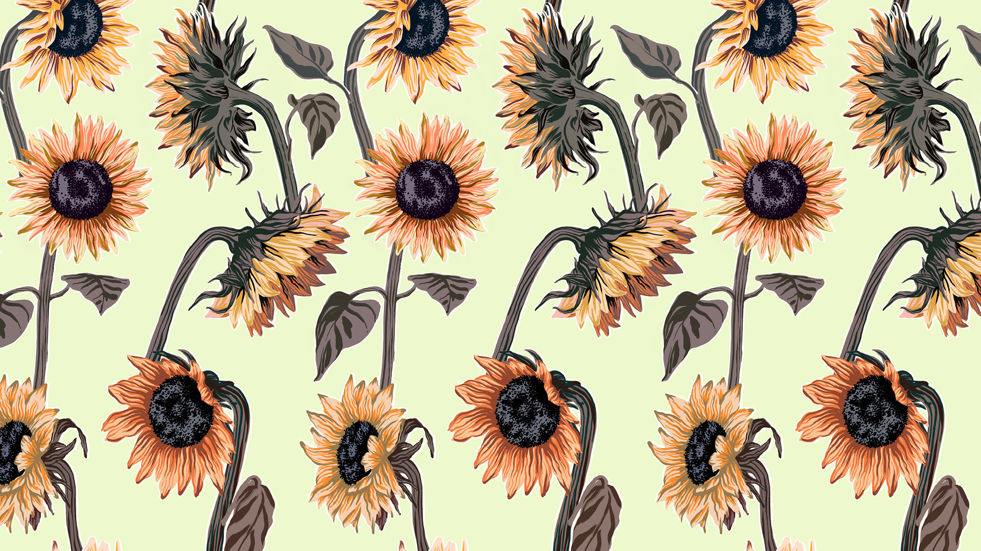 Paul Smith flower poster