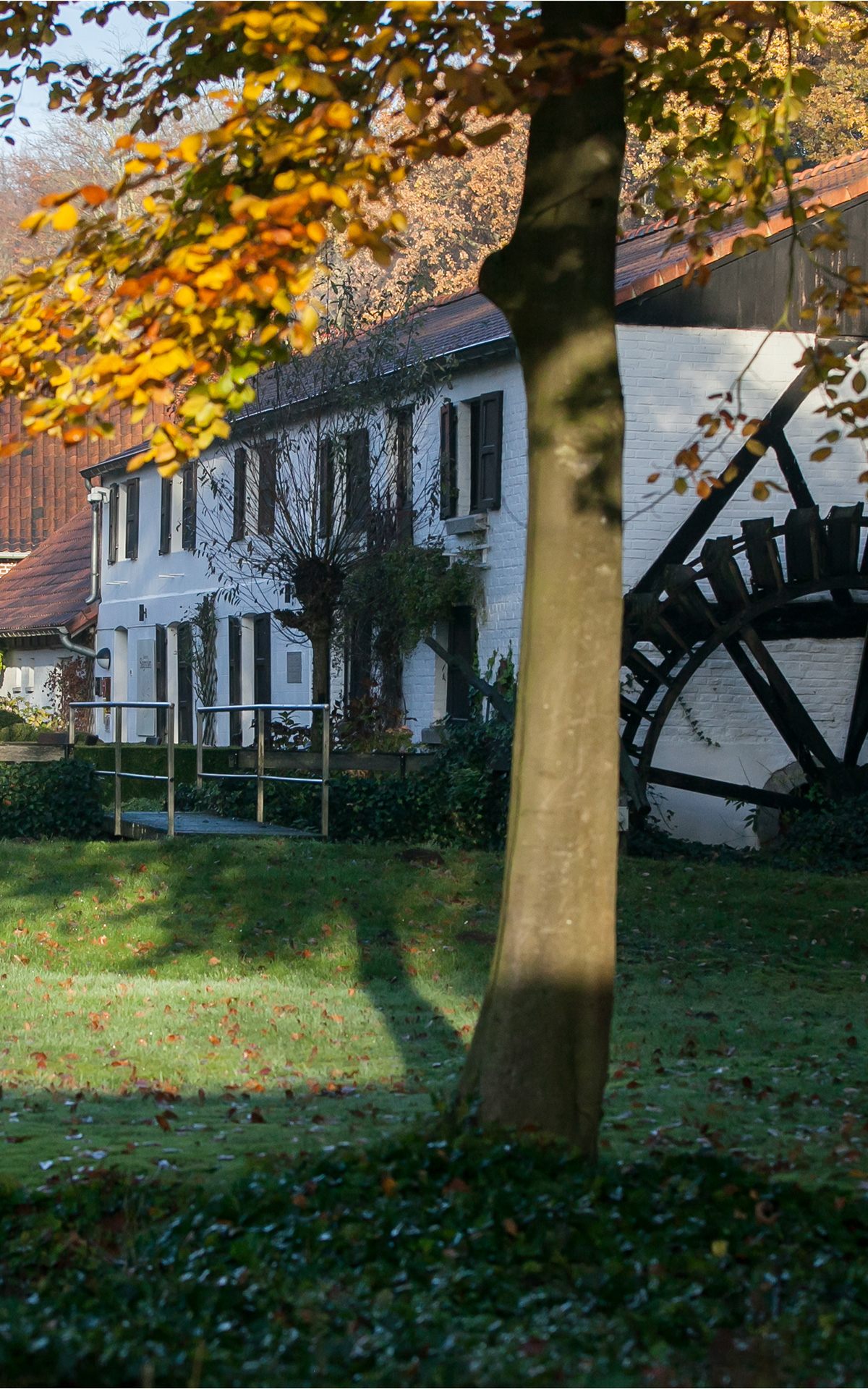 De Slagmolen Maasmechelen Village