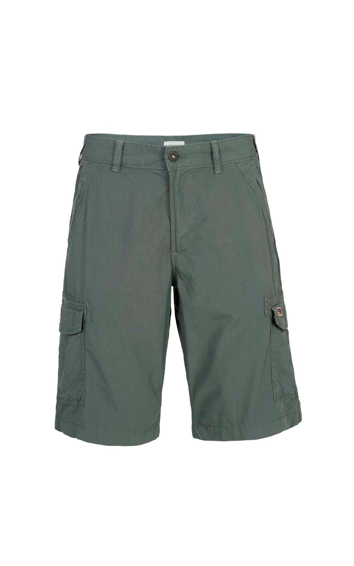 mountain pants Napapijri