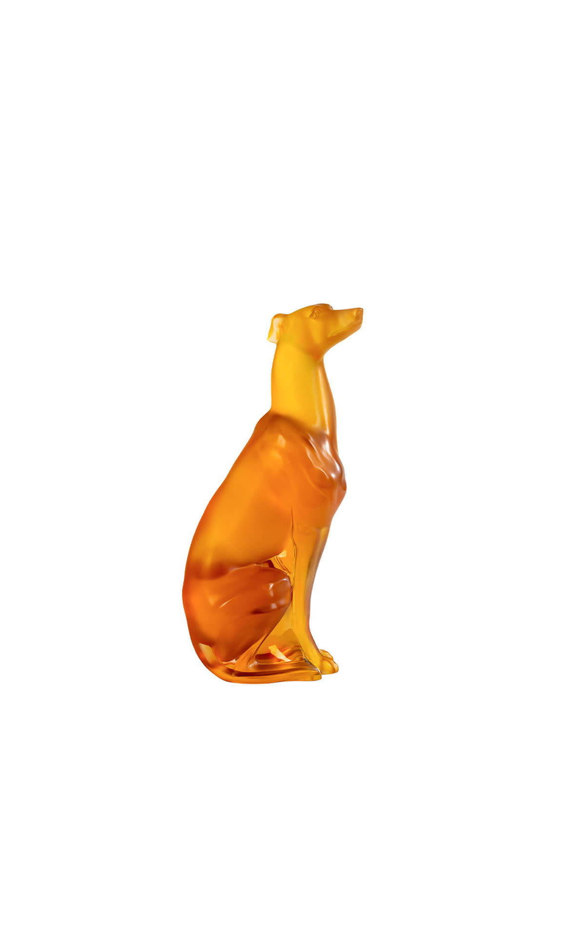Lalique  Greyhound sculpture amber  from Bicester Village