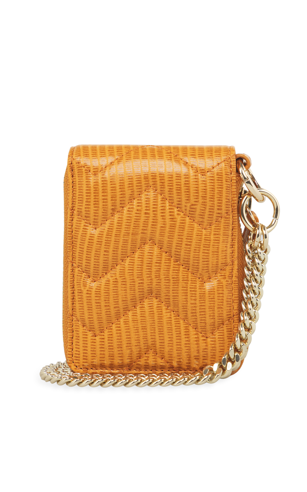 Purse with gold chain