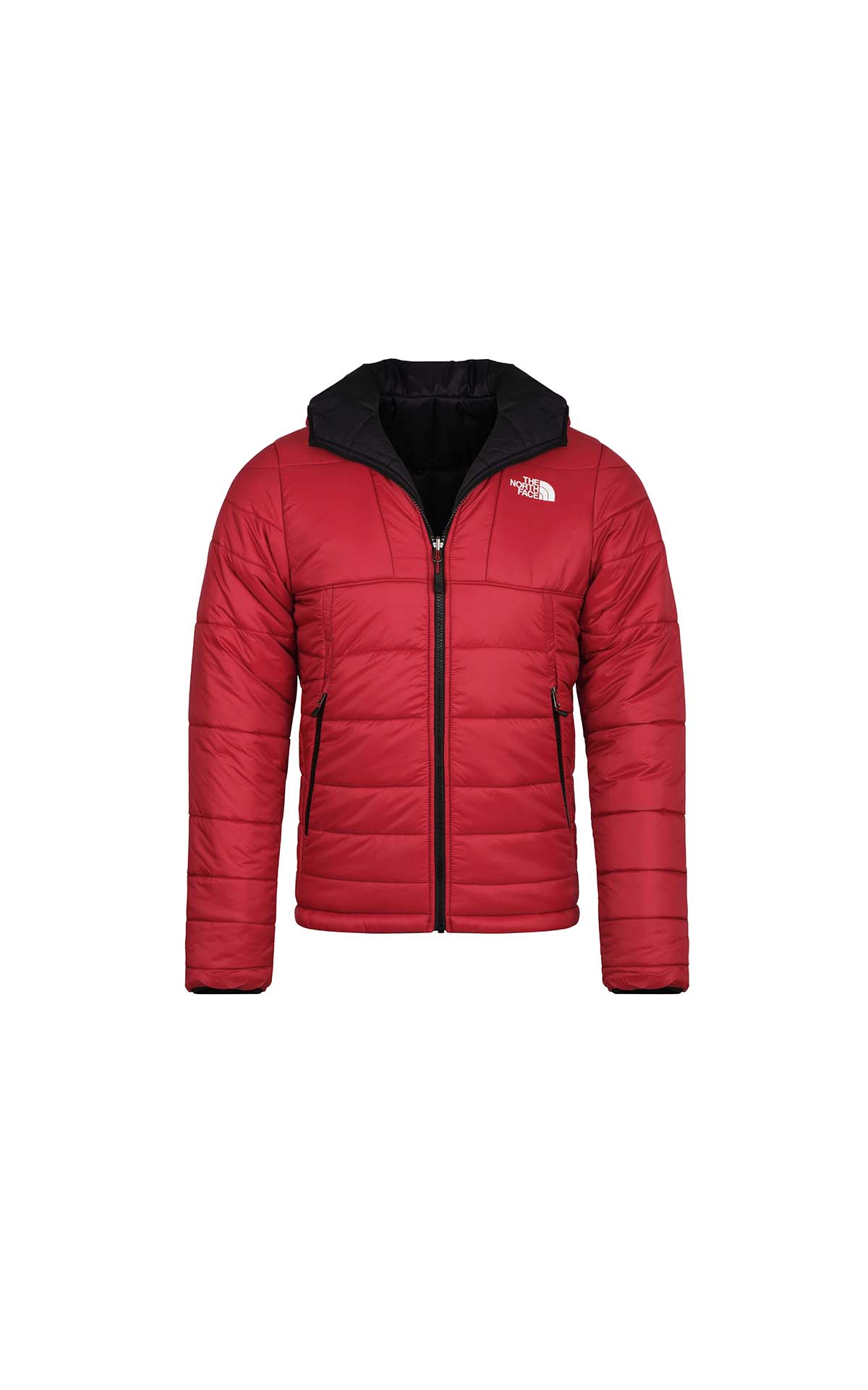 the north face hooded coat