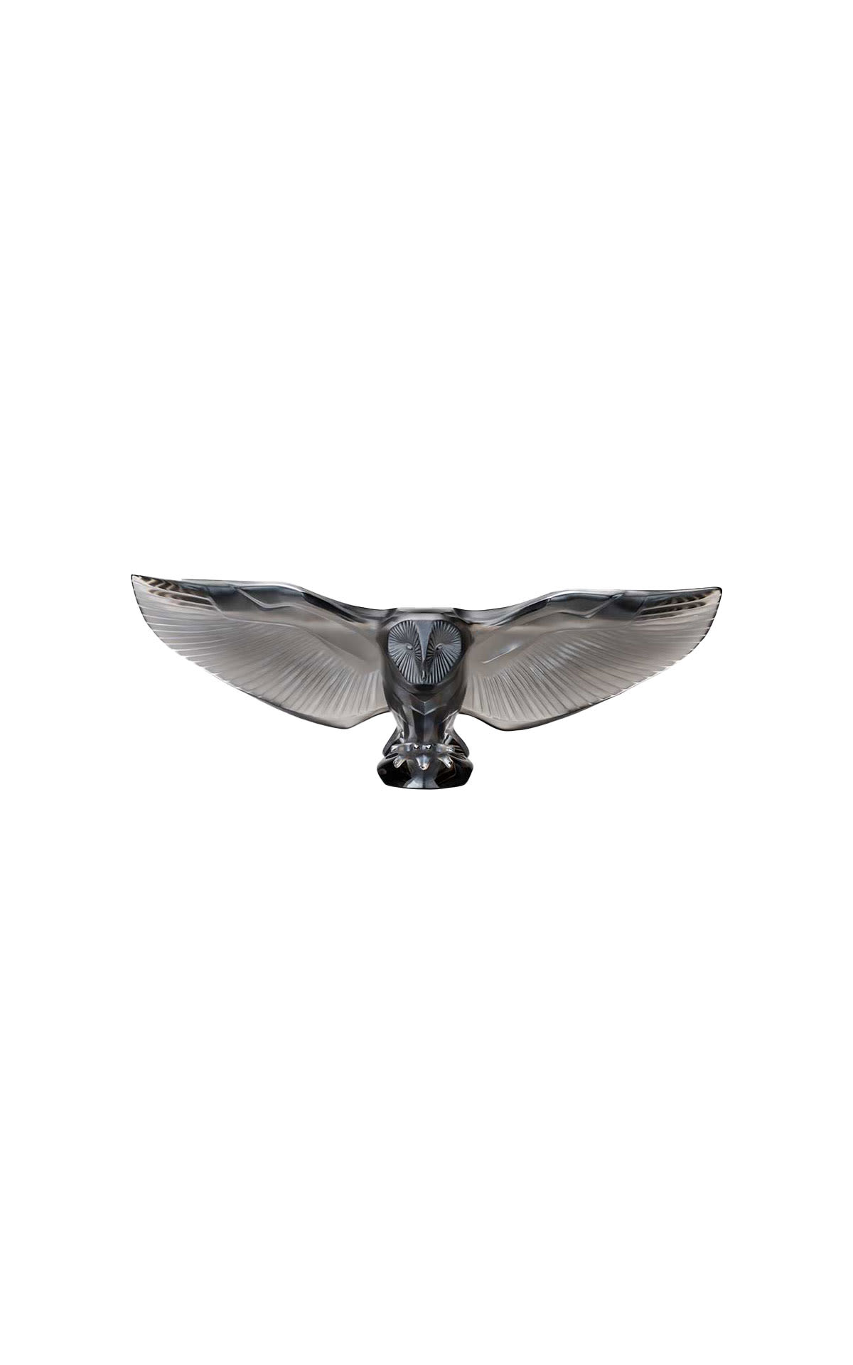 Lalique Barn Owl Sculpture Bronze from Bicester Village