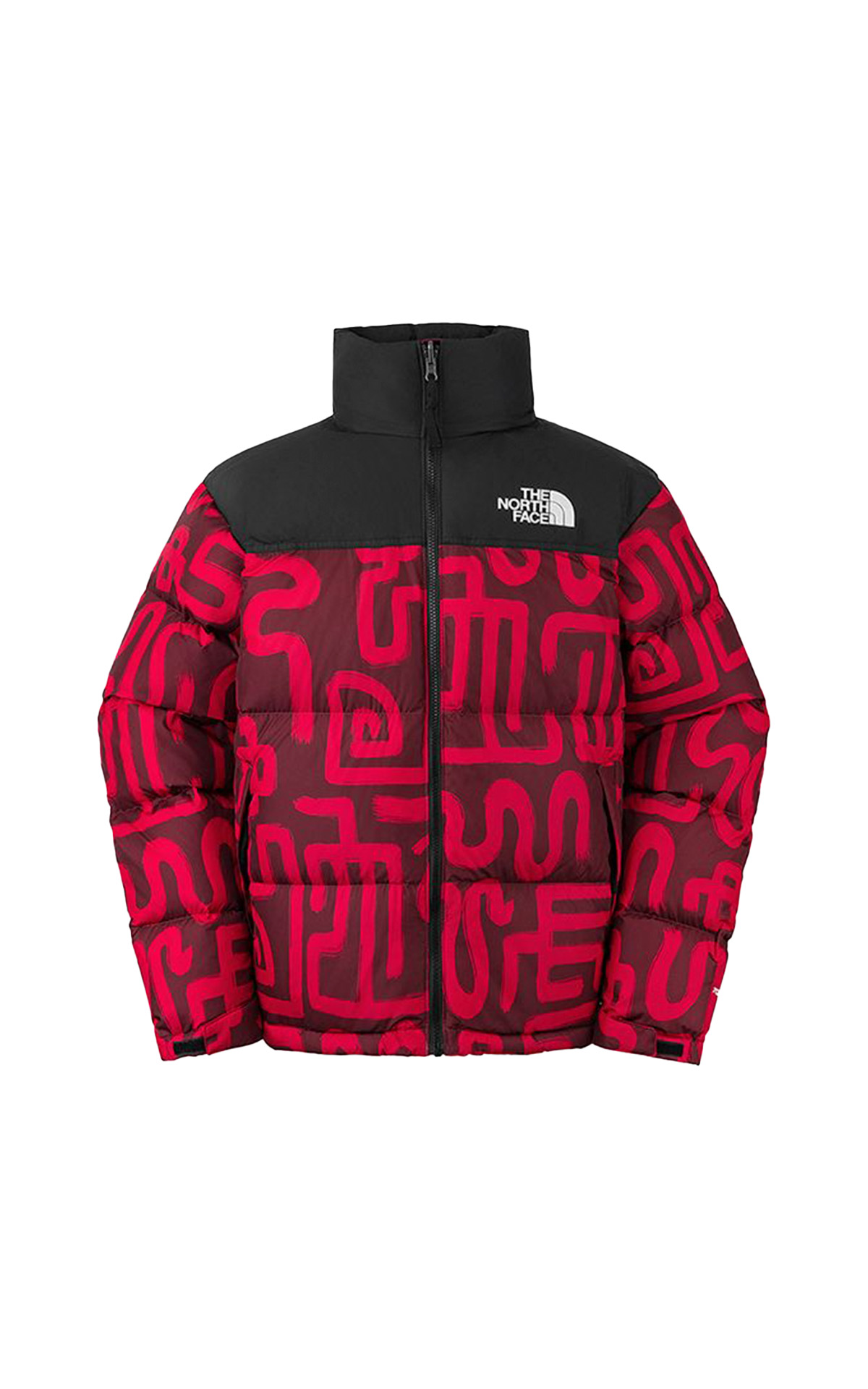 Maroon ski jacket The North Face