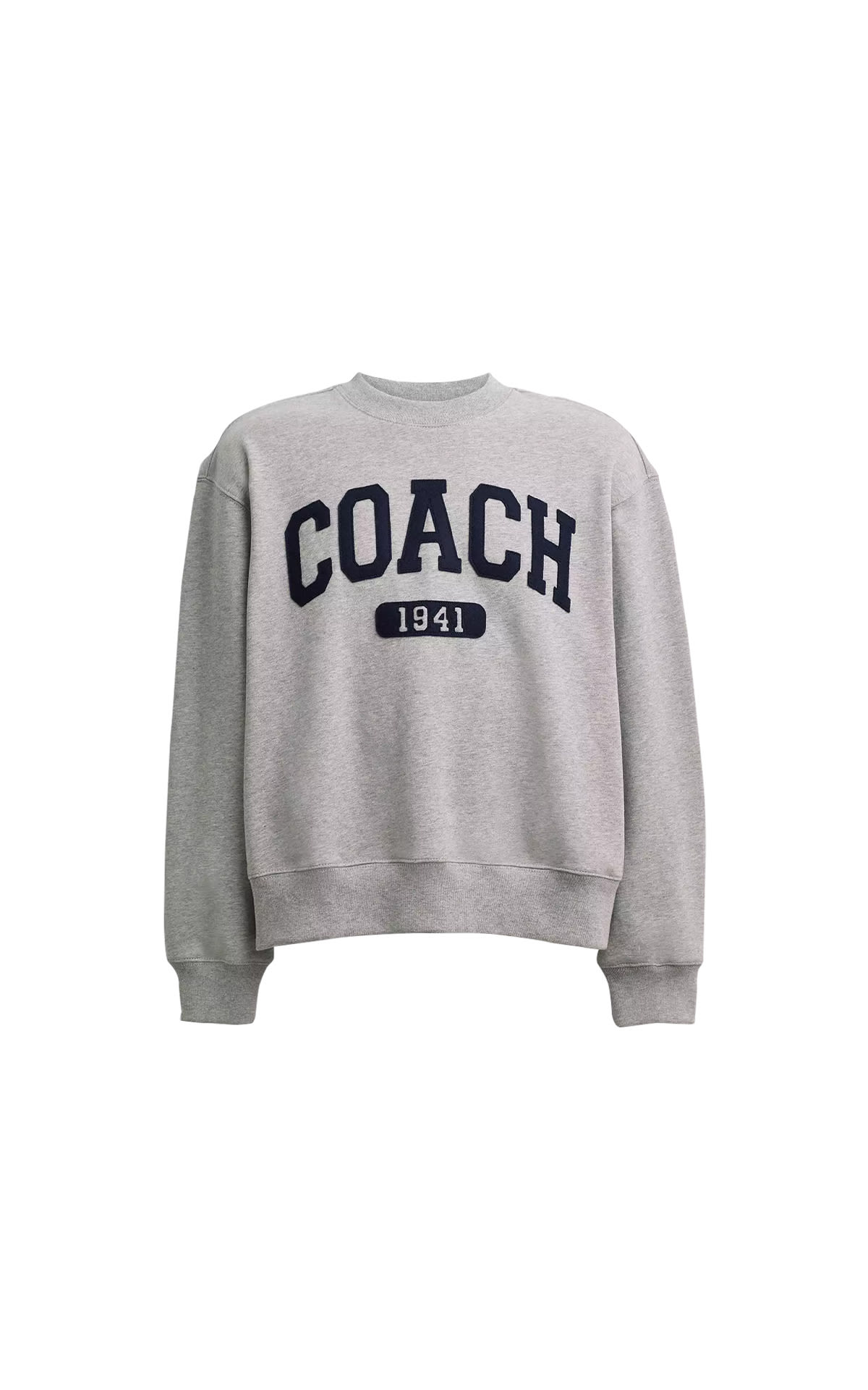 Coach felpa grigia