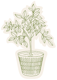 Decorative plant illustration