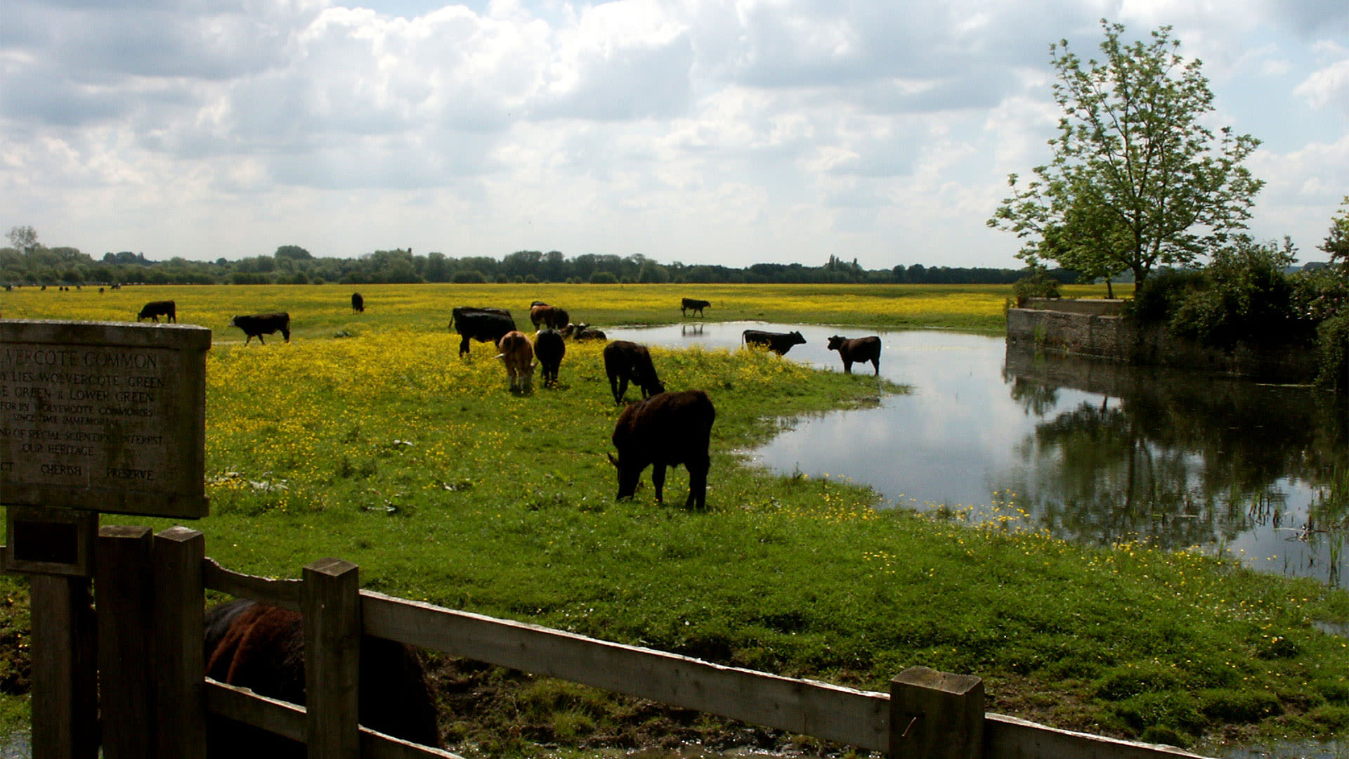 Port Meadow on the River Thames