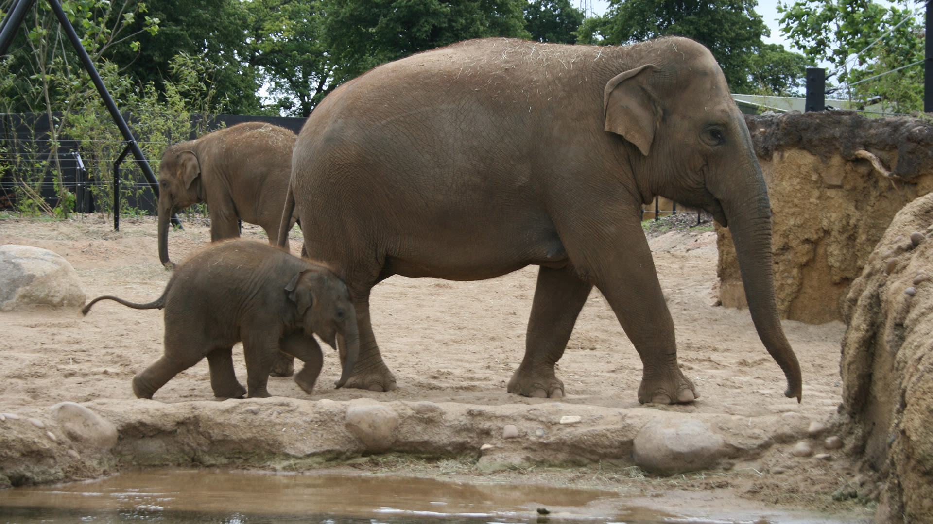 Kildare village local attraction Dublin Zoo