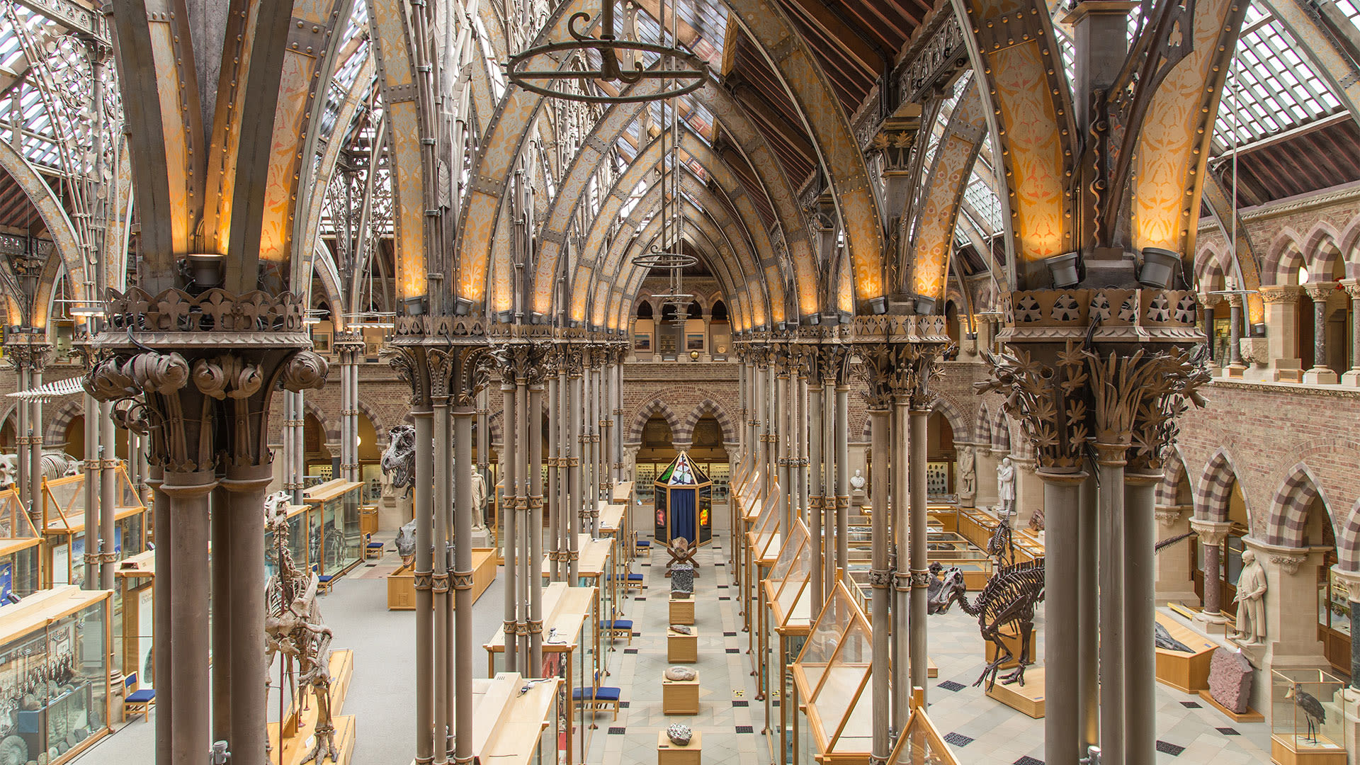 Oxford University Museum of Natural History Interior